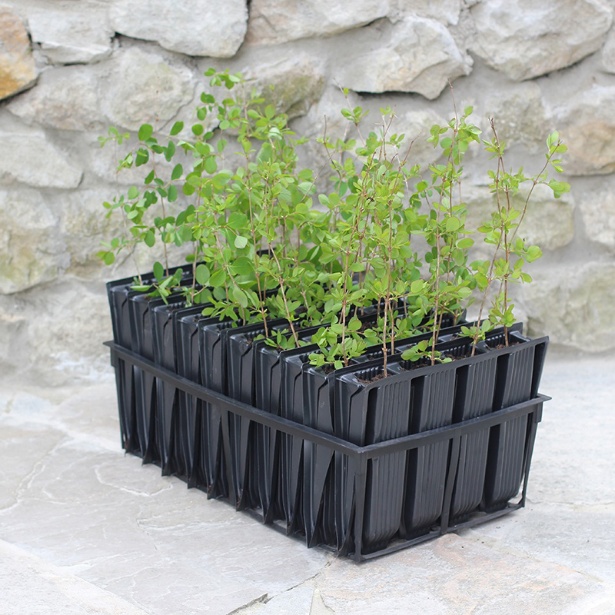 Rubber Agricultural Long Root Trainer