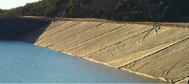 Liner plus 1