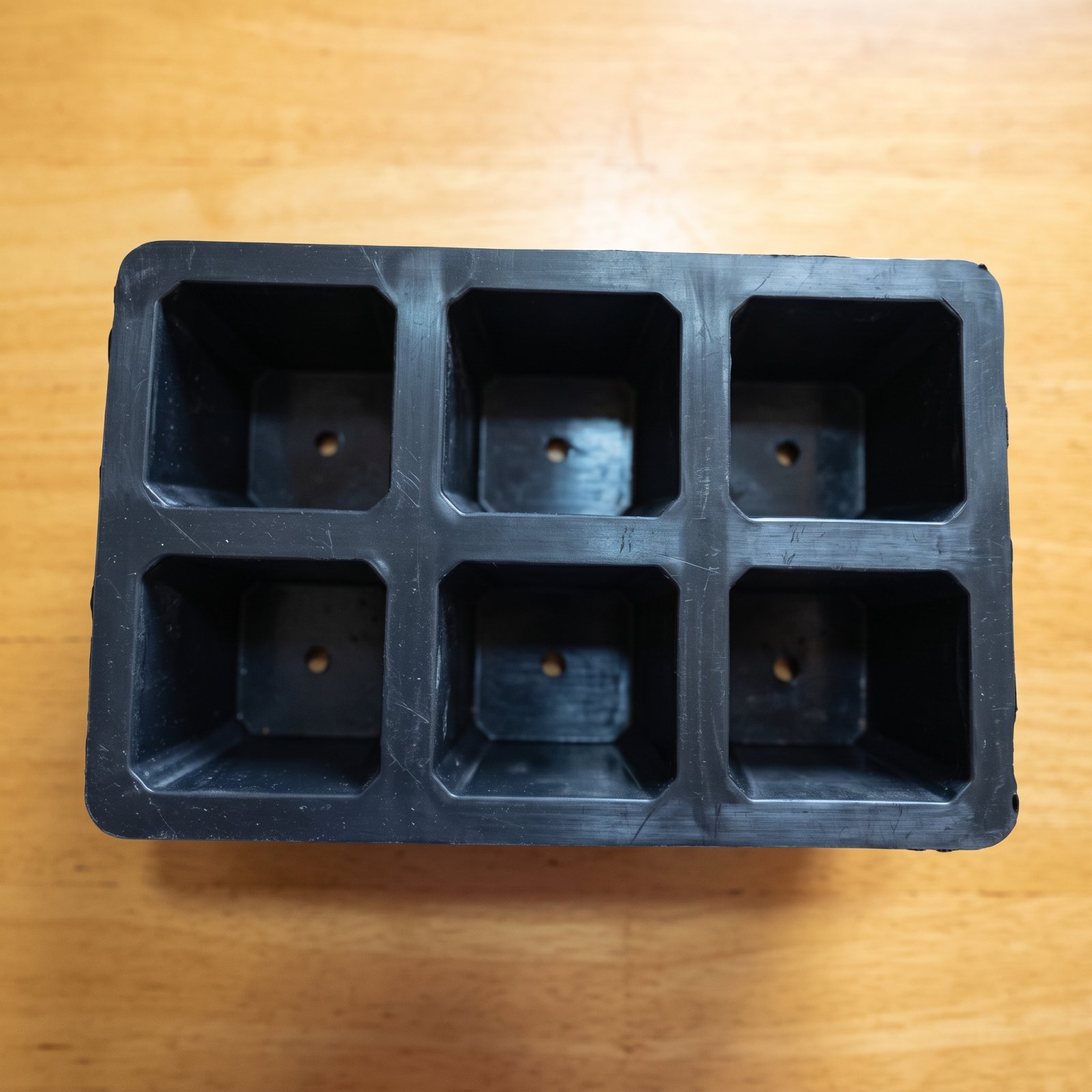 Rubber Seed Tray